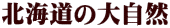 北海道の大自然