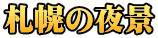 札幌の夜景