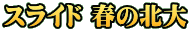 スライド 春の北大