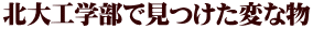 �k��H�w���Ō������ςȕ�