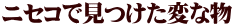 �j�Z�R�Ō������ςȕ�